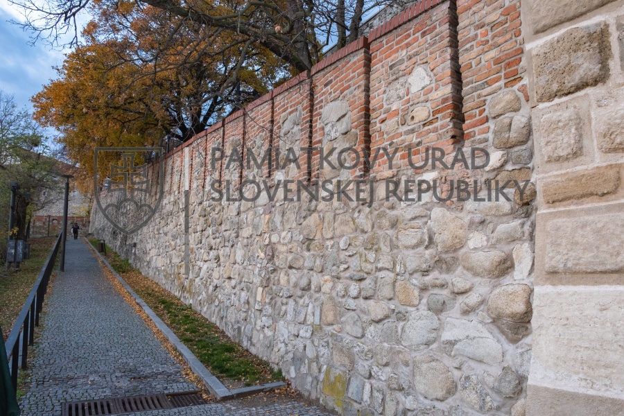 Identifikačná fotografia
